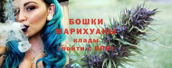 спиды Арсеньев